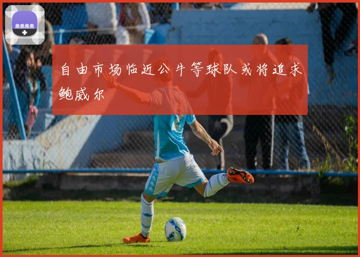 自由市场临近公牛等球队或将追求鲍威尔